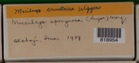 Image Associated With the Occurence